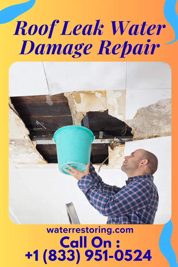 Roof Leak Water Damage Repair in Urbancrest, OH