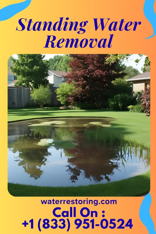 Standing Water Removal in Urbancrest, OH